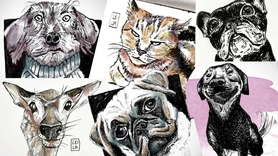 Workshop Sketching Animals