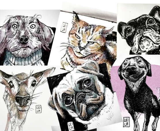 Workshop Sketching Animals
